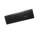HP K100 Wired Keyboard