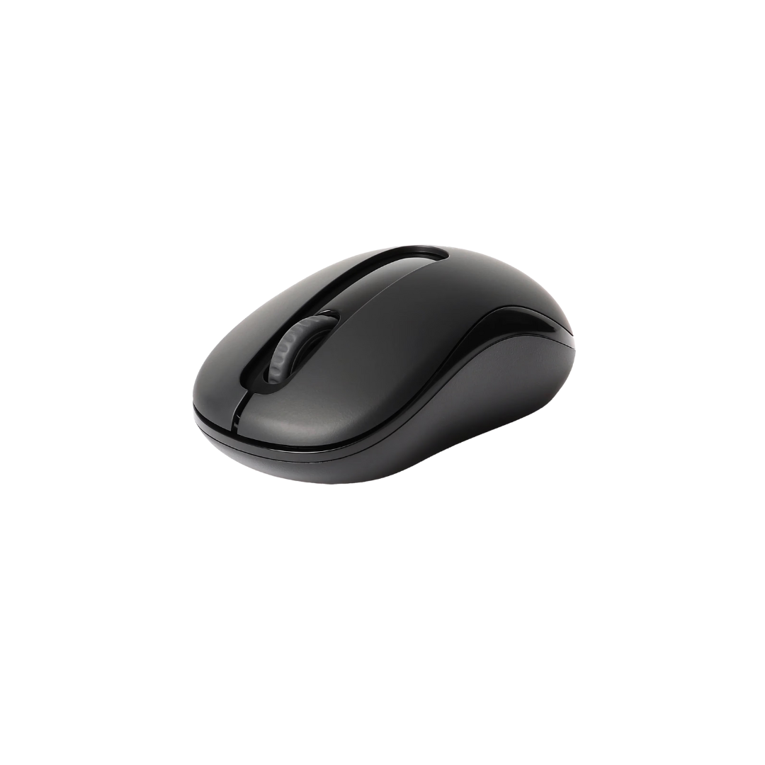 RAPOO Wireless Mouse M10