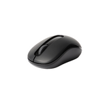 RAPOO Wireless Mouse M10