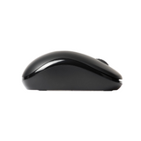 RAPOO Wireless Mouse M10